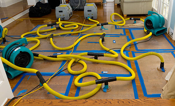 Professional Structural Drying And Dehumidification technician working in Stewart, MN